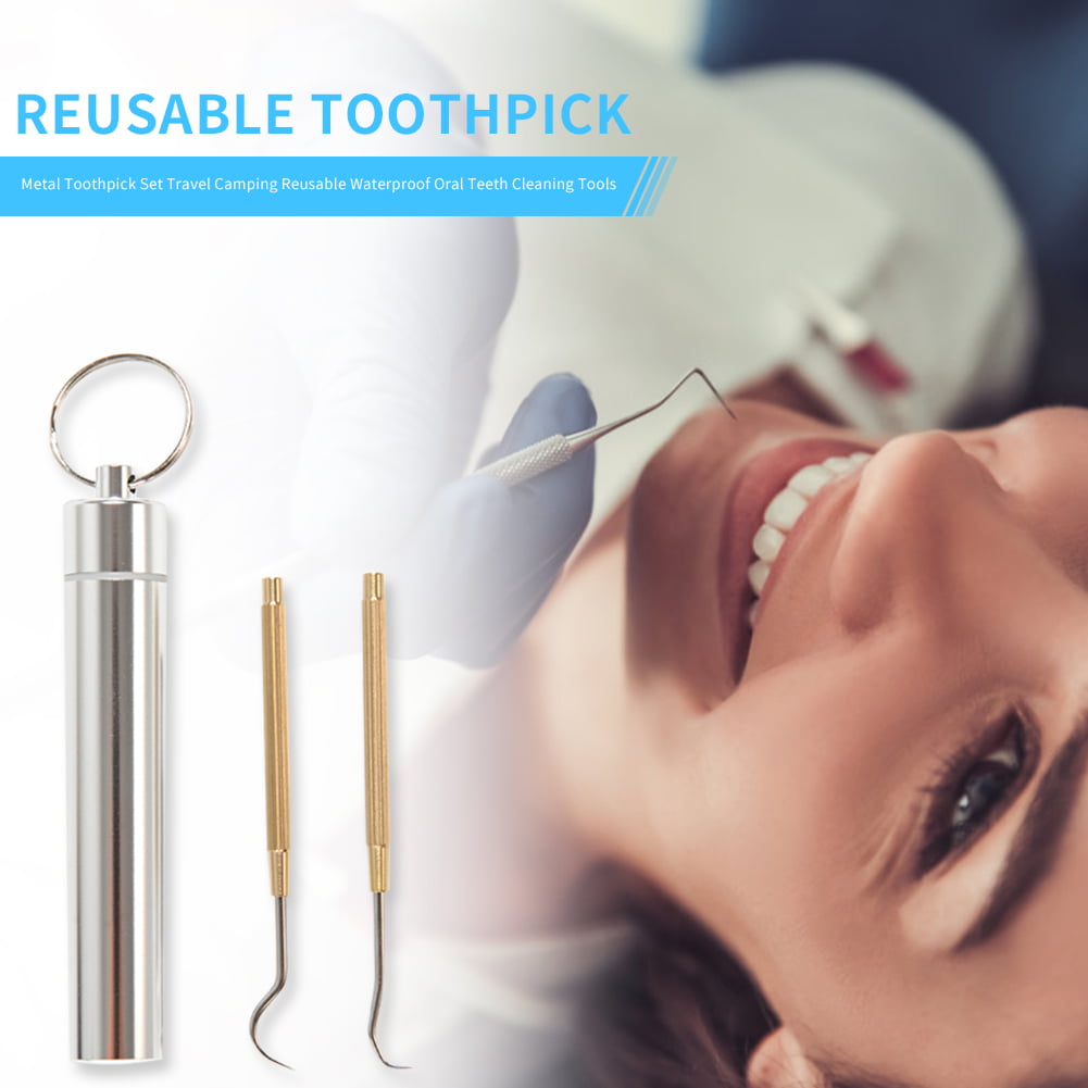 Outdoor Portable Metal Toothpick Set Waterproof Oral Teeth Cleaning Tools NE 