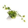 thumbnail image 2 of Yuarrent Planta Artificial Verde De Bajo Mantenimiento Y Fácil De Cuidar Para Espacios Interiores Y Exteriores Elegante Decoración, 2 of 6