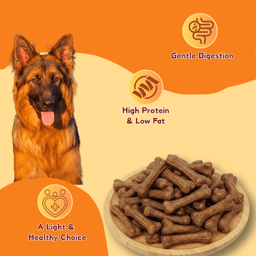 Tender Touch Molar Dental Bones for Dogs, Grain-Free with Savory Beef Flavor, Supports Fresh Breath and Gum Health for All Breeds 2.65 Pound