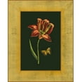 thumbnail image 2 of Unknown 20x24 White Modern Wood Framed Museum Art Print Titled - Tulip in Frame II, 2 of 4