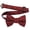 Red, variant on Boy’s Paisley Red Formal Satin Pre-Tied Bow Tie by Spencer J’s Signature Satin Collection