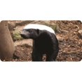 thumbnail image 1 of Honey Badger #2 Photo License Plate, 1 of 1