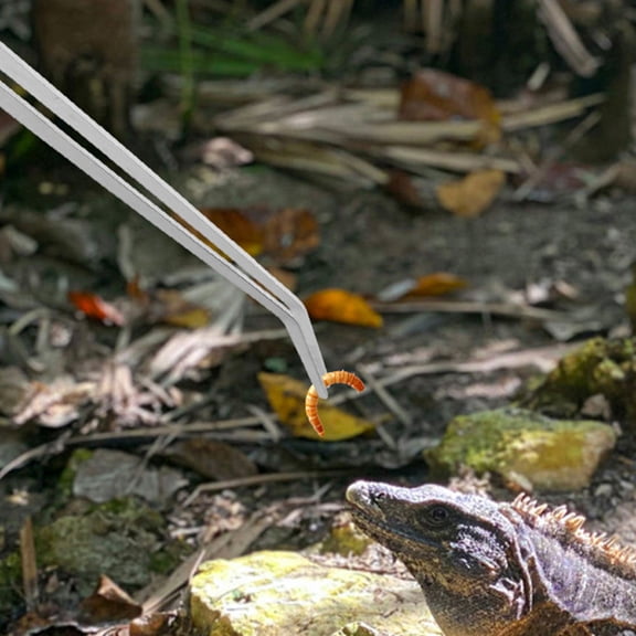 FOMIYES Stainless Steel Flat Tipped Tweezers for Aquarium and Reptile Use 2Pcs
