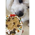 thumbnail image 6 of DEZICAKES Dog Cake- Puppy Christmas Cookie Cake- Bad to the Bone- Perfect Dog Gift Cake Boxed & Decorated, 6 of 9