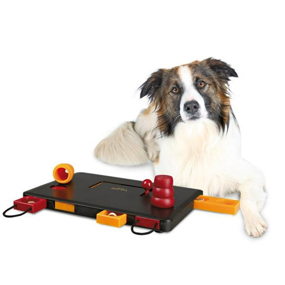 TRIXIE Produits pour Animaux 32025 Activité Canine Move-2-Win - Niveau 3