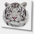 thumbnail image 3 of Design Art - White Bengal Tiger, 3 of 4