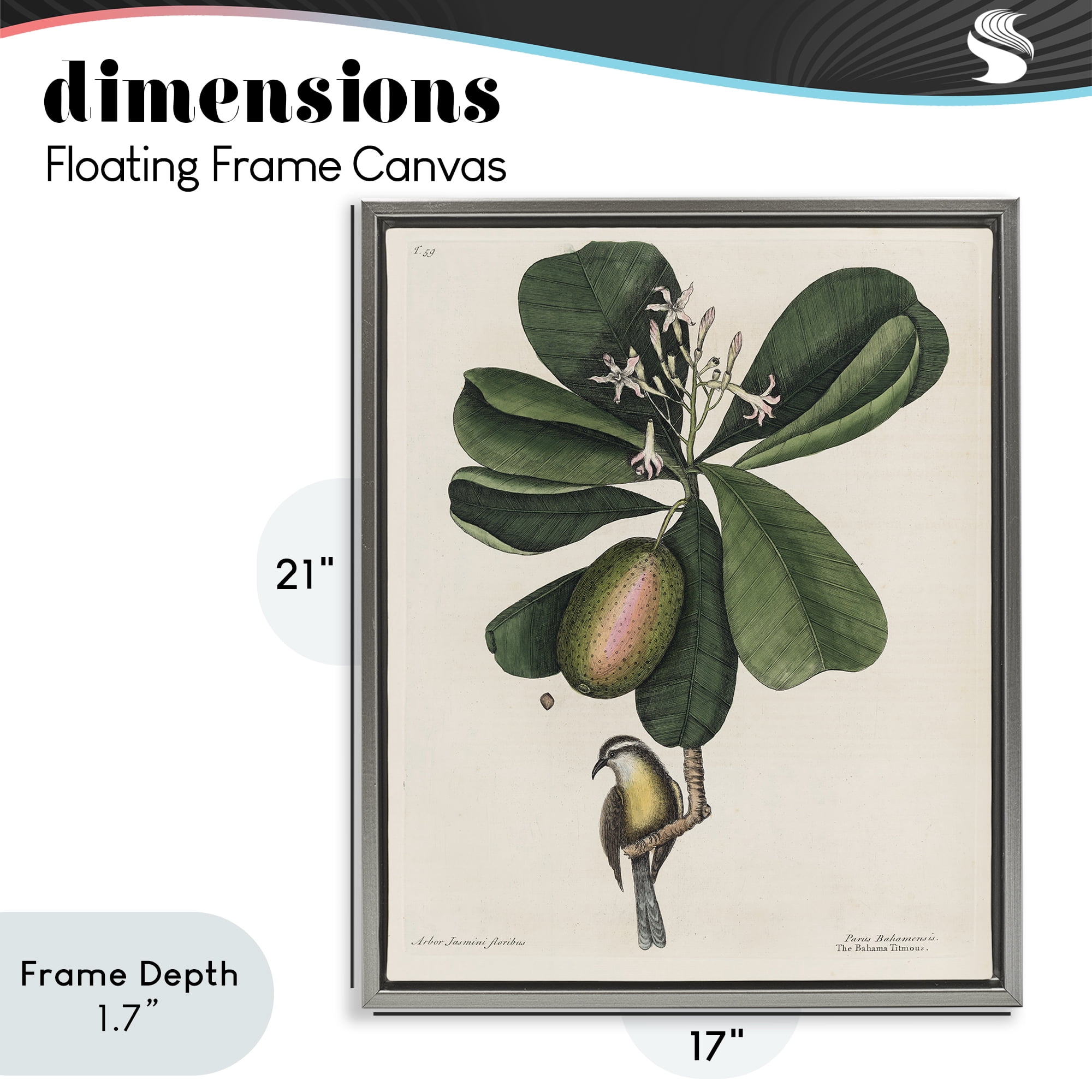 Stupell Industries Catesby Flora & Fauna Gray Framed Floater Canvas Wall Art, design by Print Collection