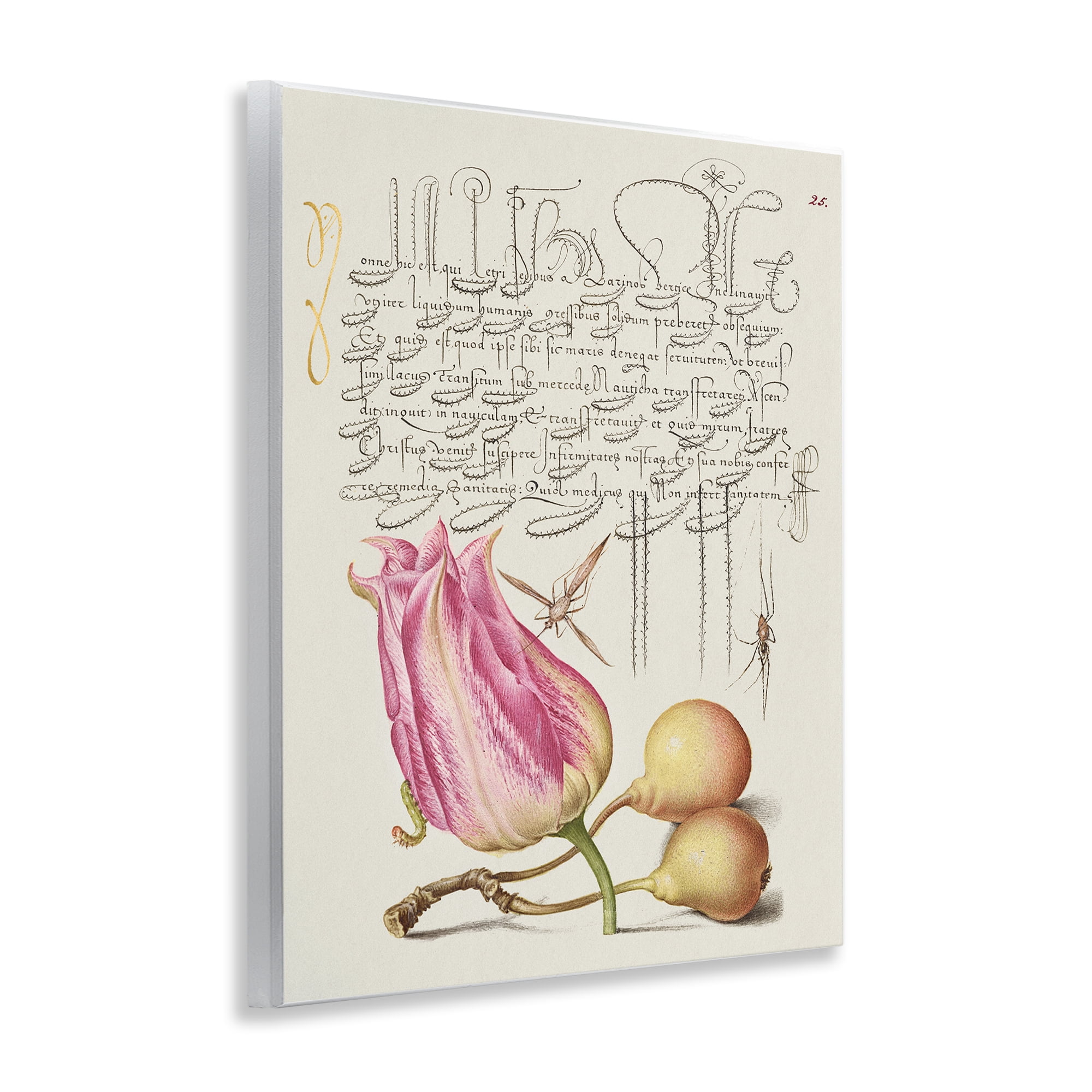 Stupell Industries Budding Lily Vintage Page Text & Numbers Painting Unframed Art Print Wall Art, 11 x 14