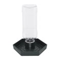 thumbnail image 1 of BRIGHTFUFU Plato De Para Reptiles Compacto Y Duradero Accesible Para Uso Diario, 1 of 7