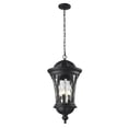 thumbnail image 2 of Z-Lite Doma Outdoor Chain Light in Black, 2 of 2