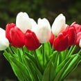 thumbnail image 3 of Enova Home 20 Pieces Artificial Real Touch Tulips Fake Silk Flowers Arrangement in Cylinder Glass Vase with Faux Water for Home Office Wedding Event Decoration (White Red), 3 of 4