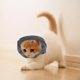 thumbnail image 3 of Perro Snood Ear Protector de Perro Lindo Perro Cuello Headwear Perro Orejas Sunnimix Cubierta de orejas de mascotas, 3 of 8