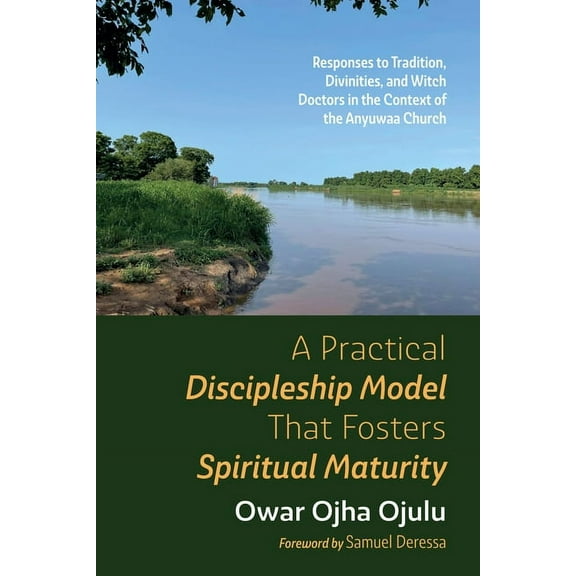 A Practical Discipleship Model That Fosters Spiritual Maturity (Paperback)
