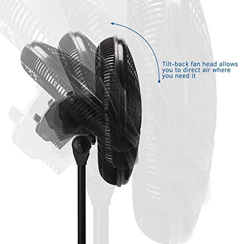 Lasko 18" 3-Speed Elegance and Performance Oscillating Standing Pedestal Fan