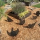 thumbnail image 3 of Decoración impermeable del césped del jardín de la estaca hueca de acrílico del arte de la yarda de la estaca del pollo, tipo C, 3 of 5