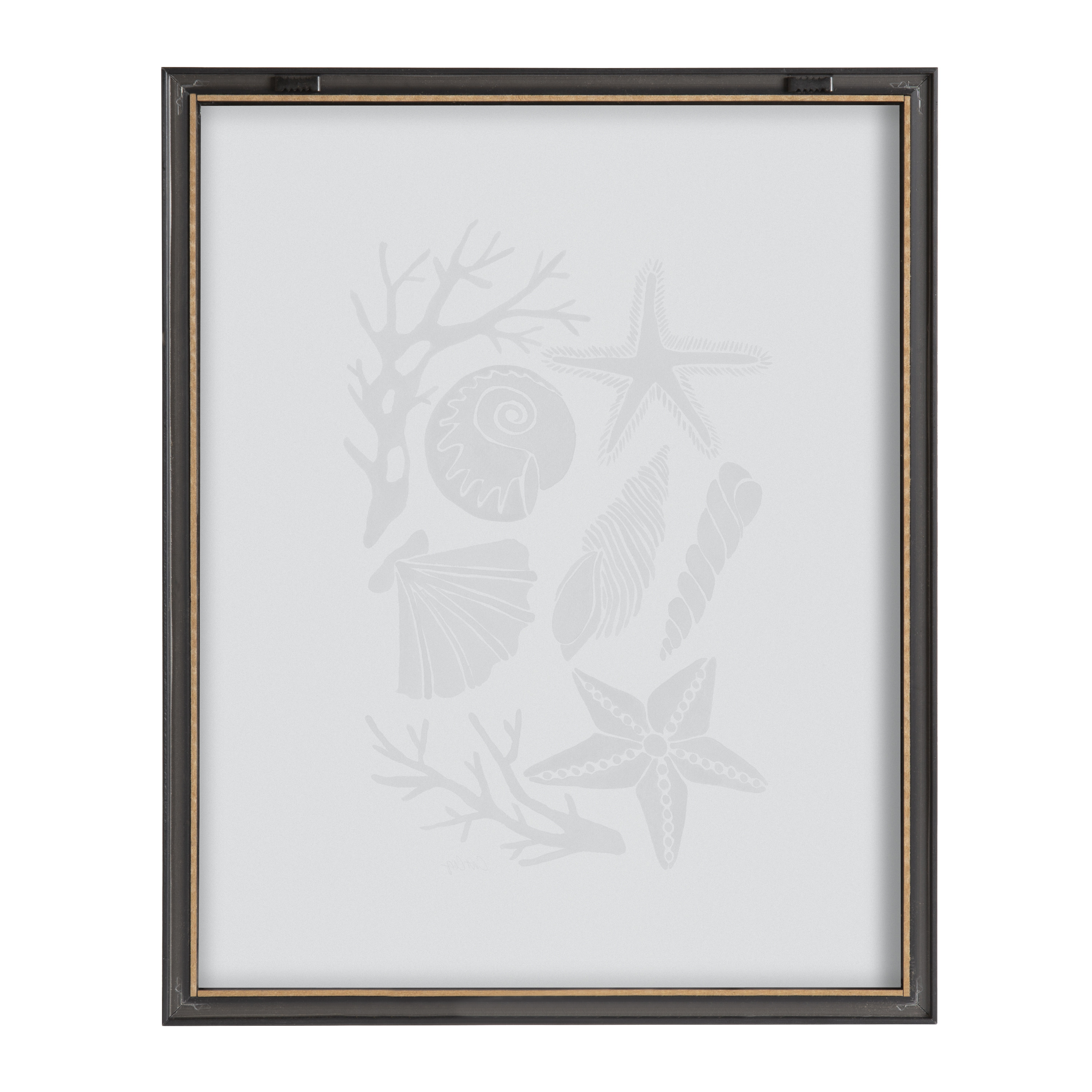 Kate and Laurel Blake Seashells Black Framed Printed Glass Wall Art by Cat Coquillette, 16x20 Gray, Decorative Coastal Art for Wall