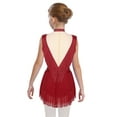 thumbnail image 2 of Moggemol Justaucorps de Danse pour Filles Scintillant en Strass Col Montant Sans Manches Fermeture Éclair Invisible au Dos Patchwork en Maille Transparente Justaucorps à Jupe à Franges Bourgogne 8, 2 of 7