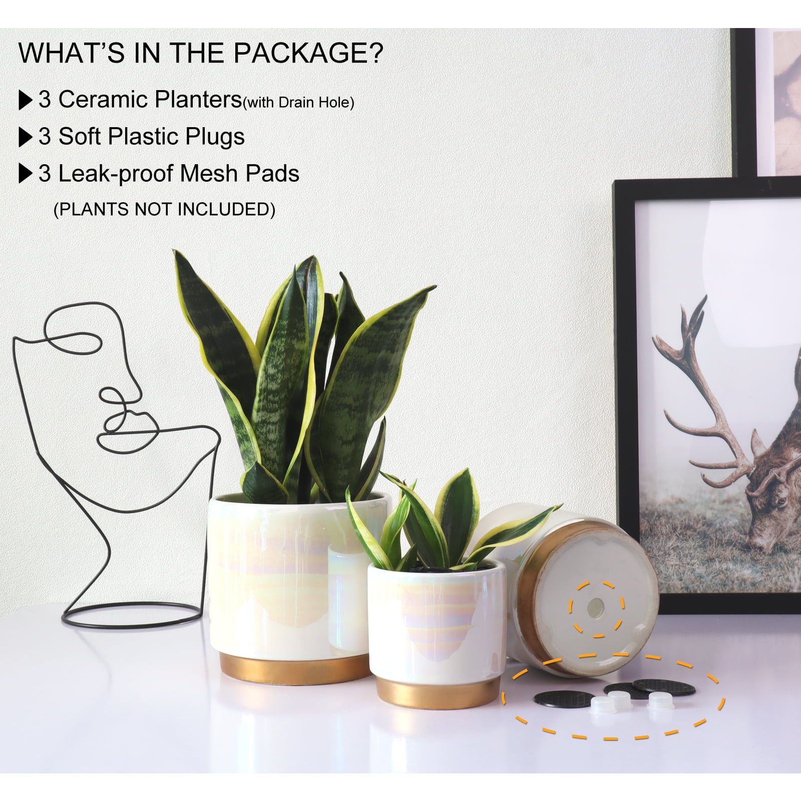 YFFSRJDJ White Plant Pots for Indoor Plants, Ceramic Planter with Drainage Hole, 6.0 inch+5.0 Inch+4.0 Inch. Succulent Orchid Flower Pot