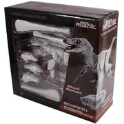 Creative Beast Collectible Teen Action Figures, Plastic Multicolor, 12 x 3.41 x 8.69 Inches, 1.45 lb