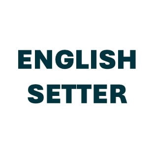 English Setter Pill Butter