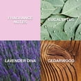 thumbnail image 6 of Lucky You by Lucky Brand Women Perfume Re/Lax Tranquil Lavender Scent - Fine Fragrance Mist 8 Oz.- 3 Pack, 6 of 9