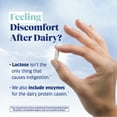 thumbnail image 5 of Enzymedica Digest Gold Fast-Acting Dairy Results for Full Dairy and Lactose Relief, 30 Count, 5 of 13