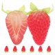 thumbnail image 1 of 8pcs Simulation Half Strawberry Models Photography Props Artificial Half Strawberries, 1 of 2