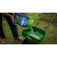 thumbnail image 3 of Scotts Turf Builder Quick + Thick Grass Seed Sun - Shade 1.2kg, 3 of 7