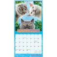 thumbnail image 4 of Avanti Chatons Grognons OFFICIEL | 2026 12x24" (Hanging) Square Wall Calendar, 4 of 9