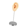 thumbnail image 4 of Modelo de oreja de silicona perforable, oreja falsa, reutilizable, realista, soporte de acero inoxidable. Piel izquierda, 4 of 9
