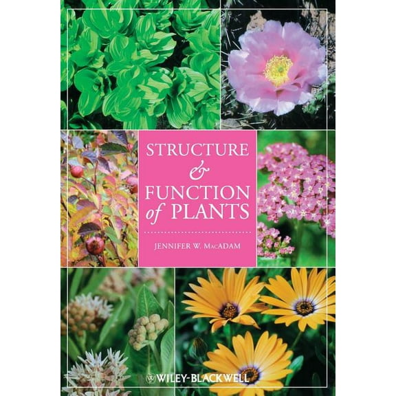 Structure and Function of Plants (Paperback)