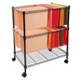 thumbnail image 1 of Ktaxon Portable 2 Tier Layer Metal Rolling Mobile File Cart 24 x 16 x 28" Black, 1 of 4