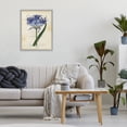thumbnail image 3 of Stupell Industries Shabby Chic English Botany Blue Floral Gray Framed Giclee Art, 16 x 20, by Susan Arnot, 3 of 8