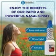 Nasal Spray by Reliable 1 Laboratories 12 Hour Relief Nasal