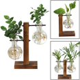 thumbnail image 2 of Jarrones de plantas hidropónicas para terrario, maceta Vintage, jarrón transparente, marco de madera, mesa de cristal, plantas, decoración de bonsái para el hogar Tan Jianjun  unisex, 2 of 2