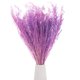 thumbnail image 1 of Ramo de flores secas Uxcell 17" Manojo de flor seca de limonium [Morado, 120g], 1 of 1