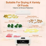 Food Dehydrator Machine, 5 Trays Electric Dehydrated Dryer with 72H Timer & Adjustable Temperature, 4 Modes LCD Display Electric Food Dryer for Jerky, Fruits, Veggies, Pet Treat, Herbs, Nuts, White