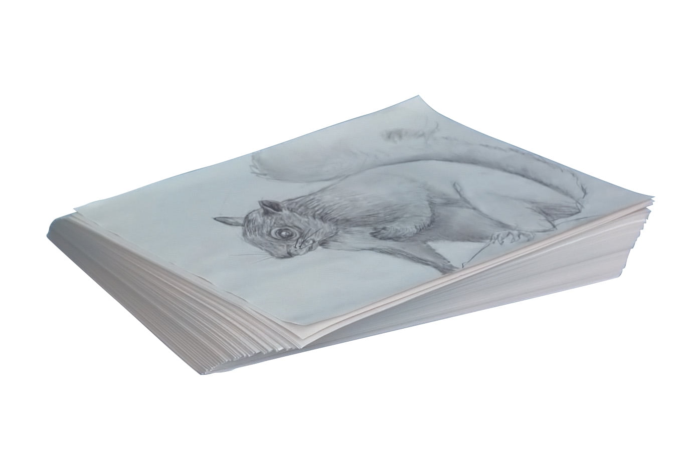 School Smart Newsprint Drawing Paper, 30 lb, 9 x 12 Inches, White, 500