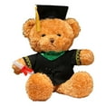thumbnail image 2 of ​14in PhD Graduation Bear - Pink Faux Velvet Plush w/ Embroidered Regalia, Collectible Scholar Gift Set (Gown, Cap, Diploma, 6+ Safe)​​ Green, 2 of 7