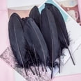 thumbnail image 2 of 50-200 piezas de plumas de ganso negras naturales de 15-20 cm para decoración de bodas, fiestas, carnavales, fabricación de joyas, manualidades para vestidos, 2 of 5