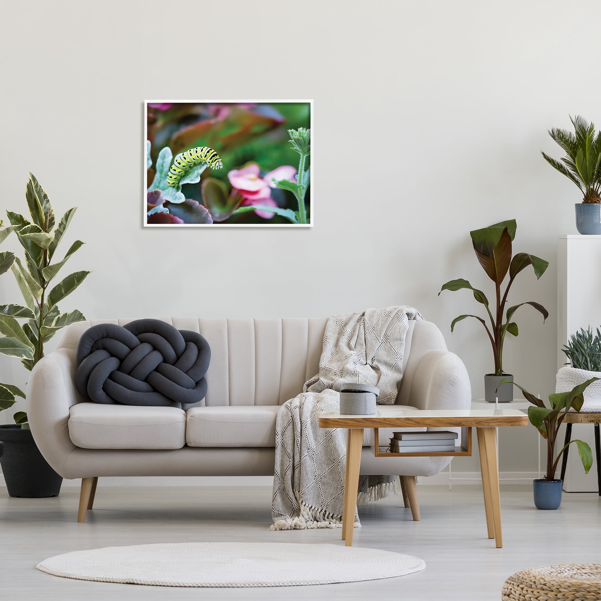 Stupell Industries Caterpillar Nature Photography Animals & Insects Photography White Framed Art Print Wall Art, 30 x 24