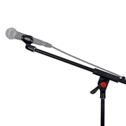 Professional Audio Condenser Microphone Mic Studio Recording, Stand & Pop Filter