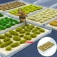 thumbnail image 4 of Juego de 25 mechones de hierba en racimo para maquetas de trenes y ferrocarriles. Verde de verano, 4 of 9