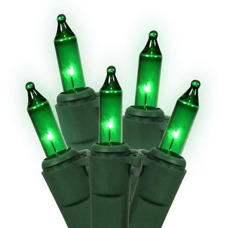 Northlight Seasonal Mini Christmas Light (Pack of 50)