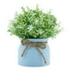 thumbnail image 1 of Pequeñas plantas artificiales en maceta, orquídea artificial, flor de frijol en maceta, arreglo floral Olla azul, 1 of 9