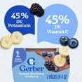 thumbnail image 5 of (4 pack) Gerber 2nd Foods Baby Food, Banana Blackberry Blueberry, 4 oz Tubs (2 Pack), 5 of 17