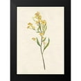 thumbnail image 2 of Goldberger, Jennifer 18x24 Black Modern Framed Museum Art Print Titled - Delicate Yellow II, 2 of 5
