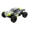 ECX 03028 1/10 AMP MT 2wd Monster Truck: Ready-to-Run