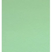 Green Color 20lb Paper Size 11x17 (500 Sheets Per Ream)