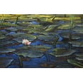 thumbnail image 2 of Braithwaite, Bruce 14x11 Black Ornate Wood Framed with Double Matting Museum Art Print Titled - Lily Pad Blossom, 2 of 4